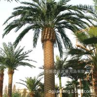 uploads/erp/collection/images/Home Garden/dgjiawang/XU0612773/img_b/XU0612773_img_b_2